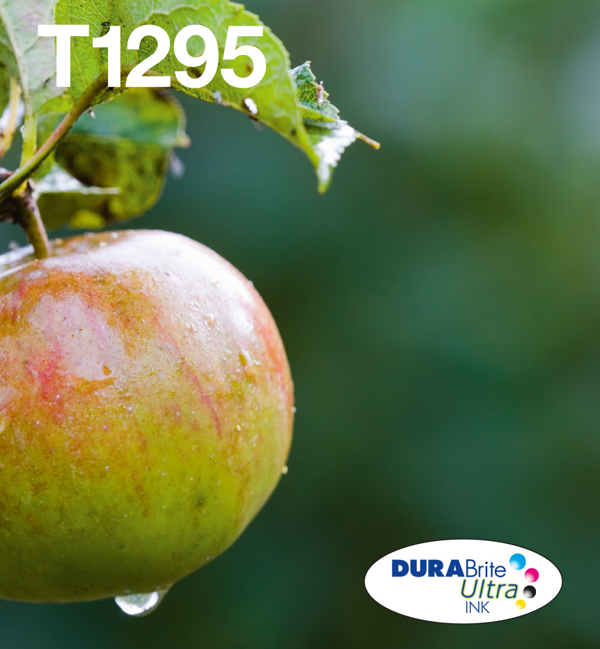 [19115] [C13T12954511] EPSON T129 Apple multipack in Easy Mail packaging