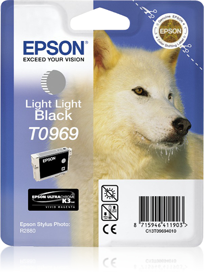 [11982] [C13T09694010] Epson Stylus Photo R2880 Cartucho Gris Claro                                                               descatalogado