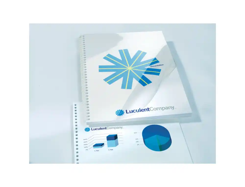 [242938] Tapa encuadernacion gbc pvc transparente cristal 150 micras din a4 pack de 100 unidades